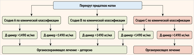 Алгоритм ведения пациенток с перекрутом придатков матки