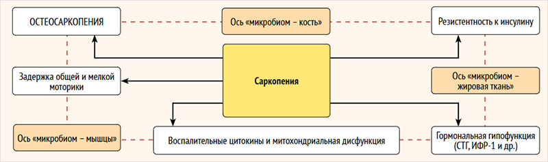 Вы точно человек?