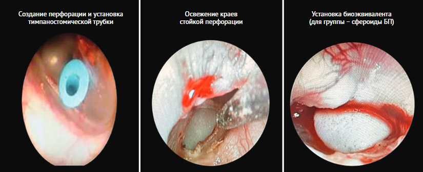 Рисунок 4. Этапы эксперимента